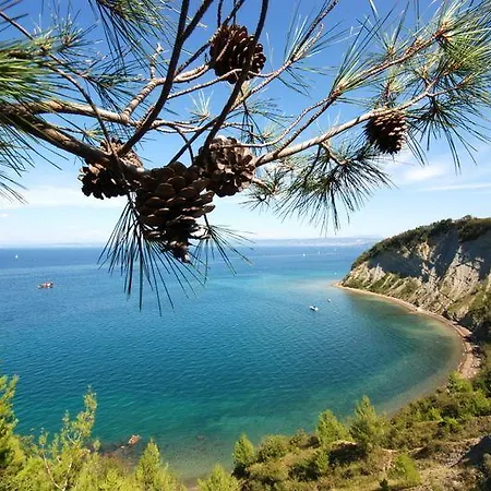 Floating Sea Marina Lux Tatil Evi *